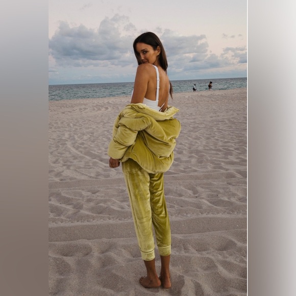 Fabletics Daria Velour Jogger Pants - Picture 2 of 6